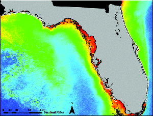 Satellite imaging of Florida&rsquo;s coastal waters