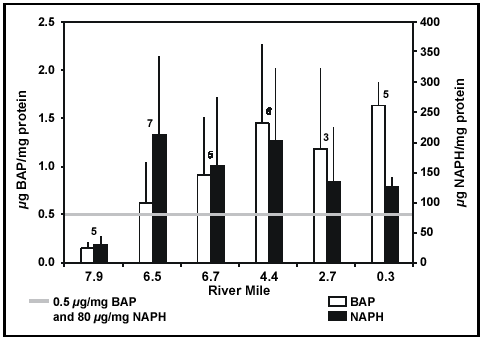 Figure 6. Bile metabolites (&mu;g/mg protein) measured in white suckers from the Little Scioto River.