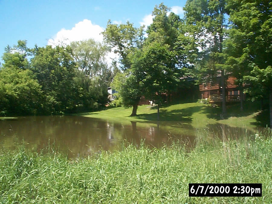 Backyard flooding along Appleton Ave Backyard flooding along Appleton Ave