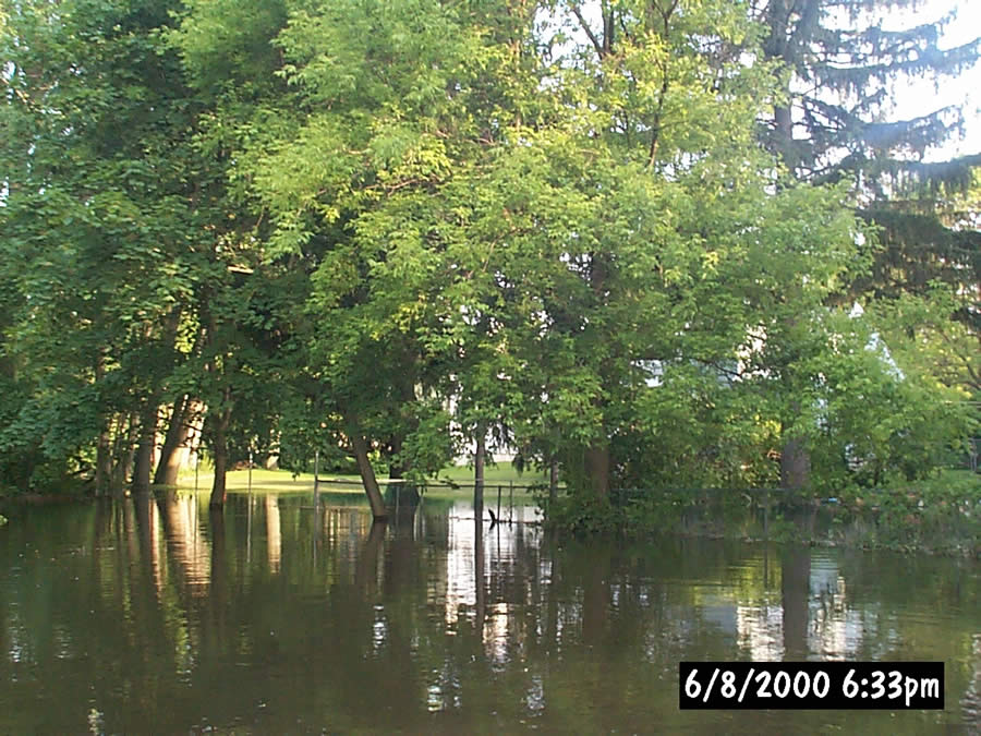 Backyard flooding along Pomery Avenue Backyard flooding along Pomery Avenue