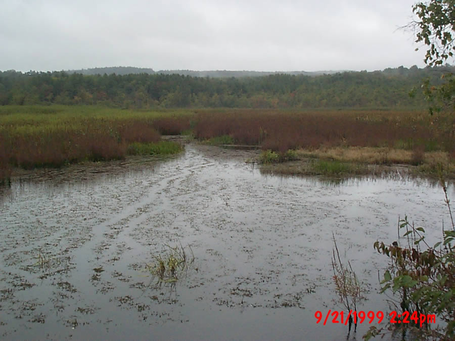 September 21, 1999 - Backwater