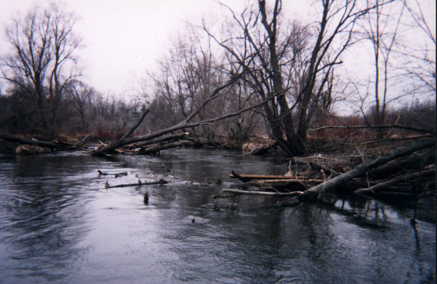 High water and snags above New Lenox Road