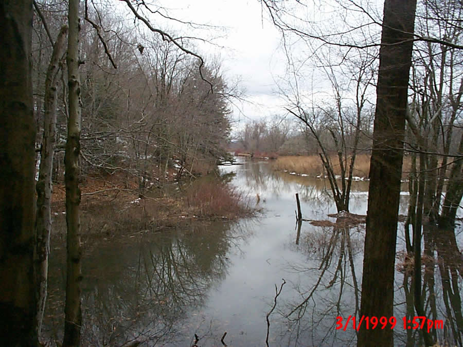 March 1, 1999 1:57pm - Flooding of the adjacent wetlands by October Mountain Road
