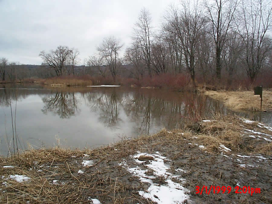 March 1, 1999 - Backwater above Woods Pond