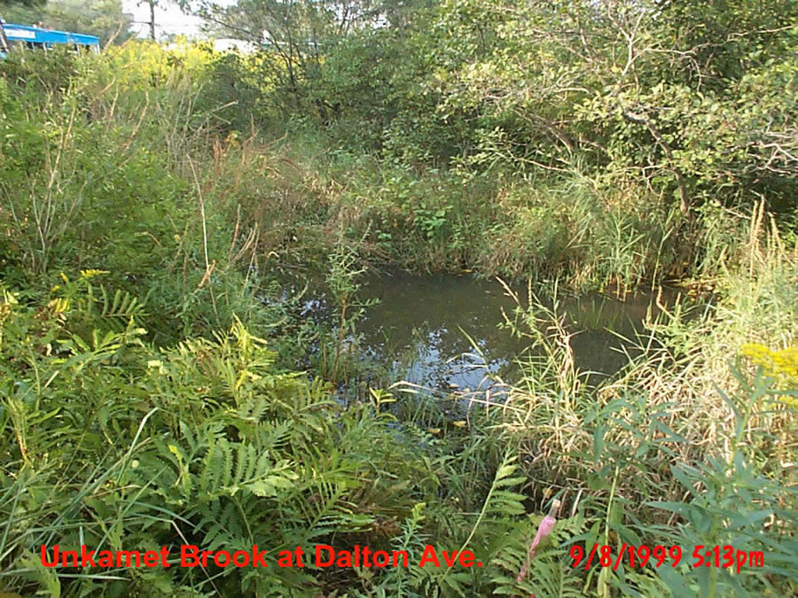 September 8, 1999 - Unkamet Brook tributary below Dalton Ave