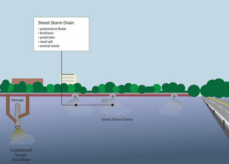 This graphic shows a view of banks along a river. It shows a depiction of storm drains draining into the river and a depiction of how Combined Sewer Overflows connect and overflow into a river.