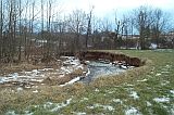 Photo of a stream at the edge of a forest of deciduous trees and a grass field illustrating an example of riparian devegetation.