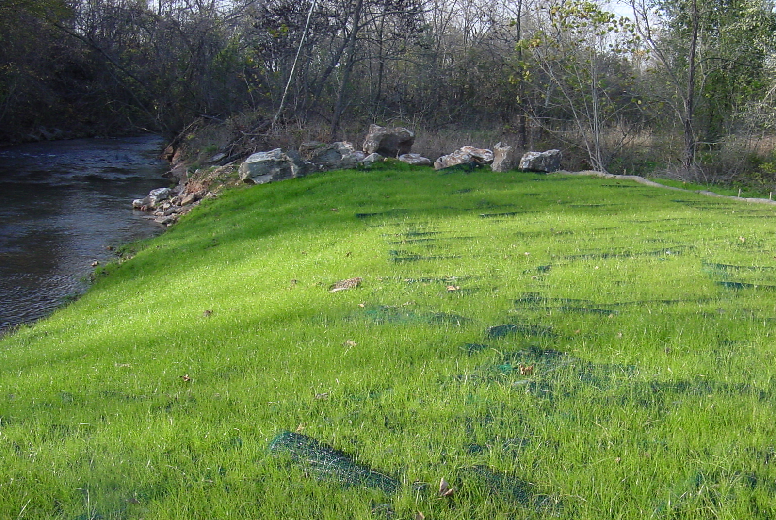 image of Fulbright Trail streambank Springfield