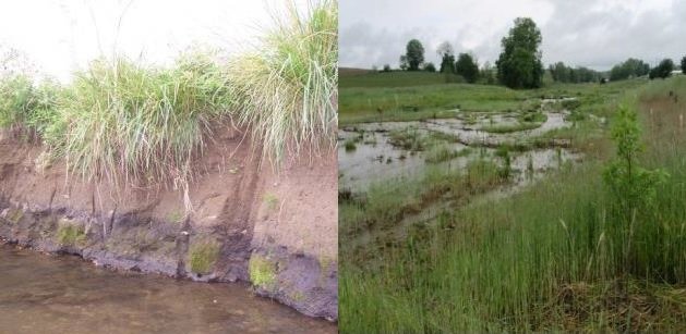 A side by side view of the stream before and after the restoration project.