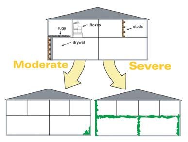 Testing for molds with EPA&rsquo;s DNA-based technology may show if a structure is contaminated with molds and fungi, and to what degree.
