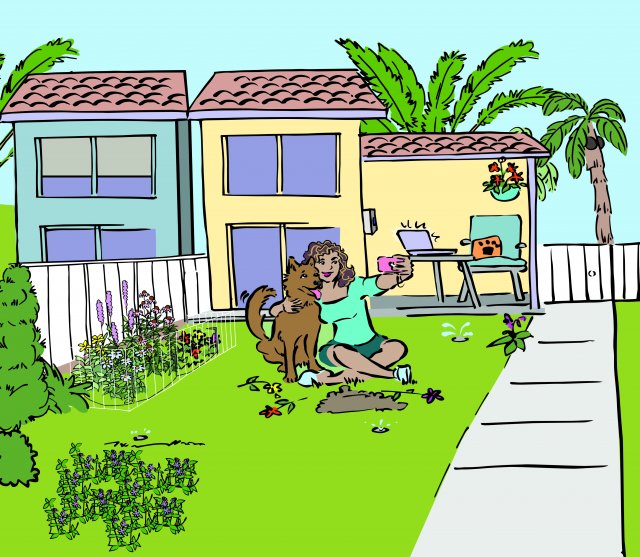 Backyard Illustration