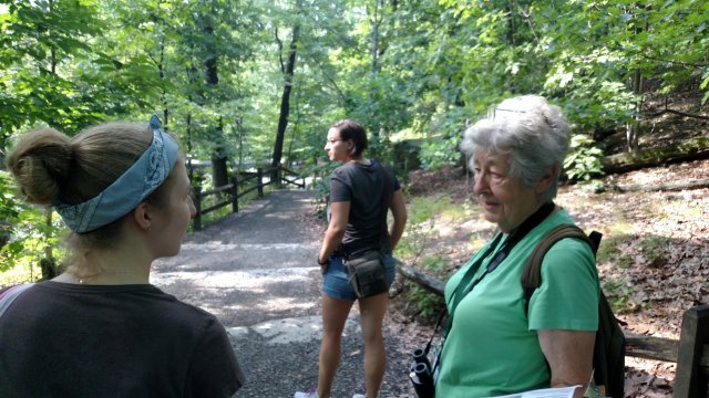 Plant phenology walk