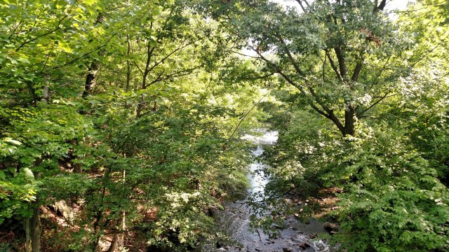 Plant phenology walk picture 3 