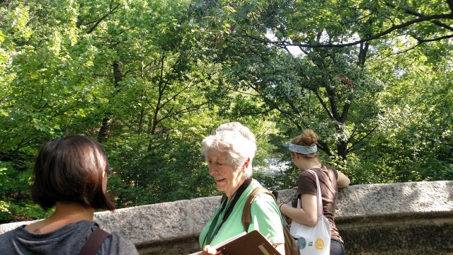 Plant phenology walk picture 4