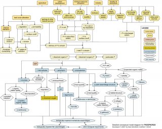 Snapshot of a detailed conceptual model diagram for nutrients (phosphorus).