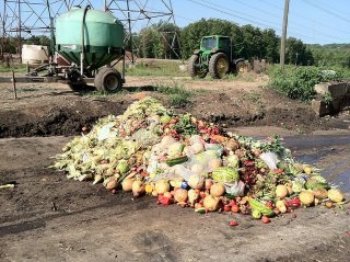 This is a picture of a pile of food waste