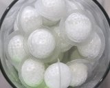 Embry-Riddle Aeronautical University (2014 P3 Award Winner)