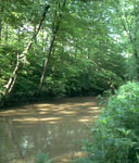 Southern end of Trail Creek