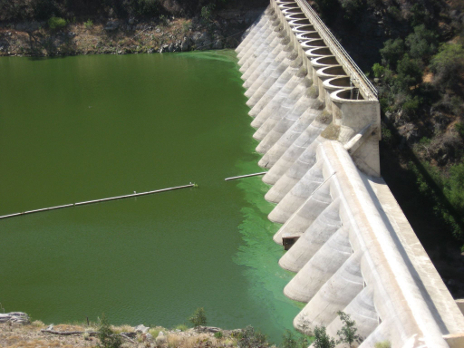 Lake Hodges during an algae bloom