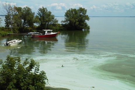 Oneida Lake during an algae bloom