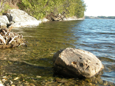 Shelburne Pond