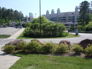 Photo of bushes in front of EPA's Main Building in Research Triangle Park, North Carolina