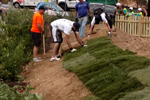 Volunteers Laying Grass