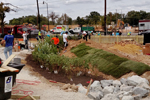 Volunteers Laying Grass
