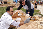 Volunteers Finishing Log Bench