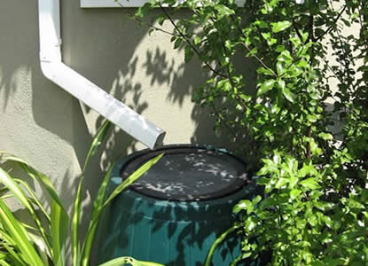 Downspout directs rain to rain barrel