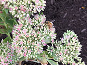 Andrew W. Breidenbach Environmental Research Center 