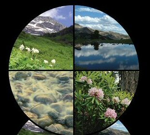 Western Brownfields Wire logo