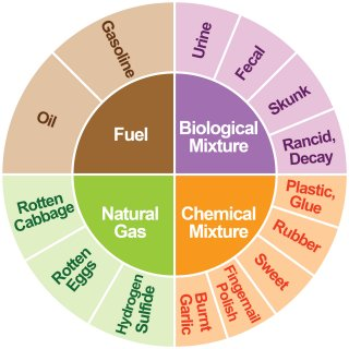 image of odor wheel