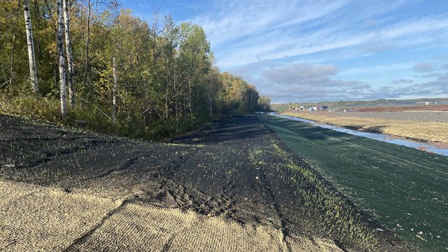 Native grasses have begun sprouting in areas previously hydroseeded along the downstream portion of the Unnamed Creek. (10/04/2021)