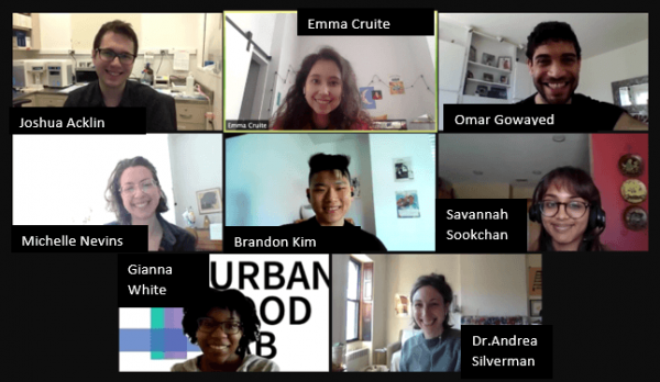 New York University, New York, NY P3 Team