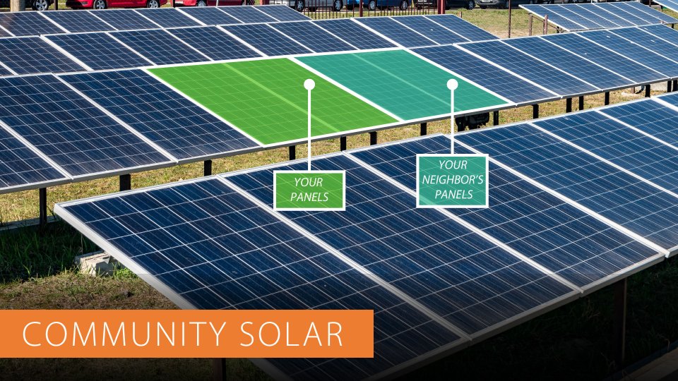 a large group of solar panels owned by different individuals facing the sky