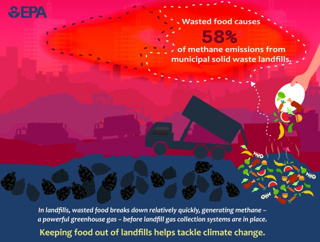 Illustration of a landfill with truck in foreground dumping food waste on the ground and superimposed in the corner a hand holding a plate with uneaten food being scraped into the food waste pile.  Text at the bottom reads:  In landfills, wasted food breaks down quickly, generating methane before landfill gas collection systems are in place. Wasted food causes 58% of methane emissions from landfills, but food waste only makes up about a quarter of the total waste in landfills. EPA logo 