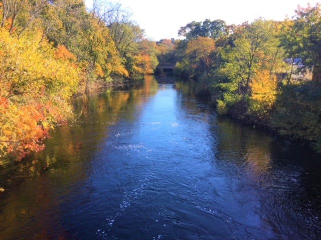Lower Neponset River