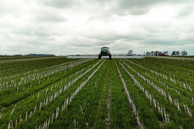 Cover crop field in Kentucky