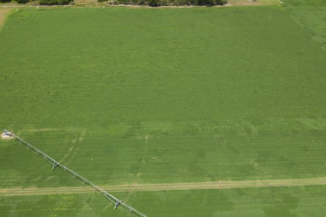Figure 15. Subsurface drip irrigation