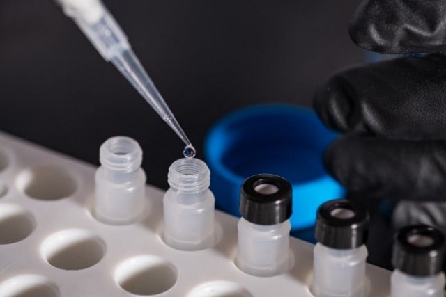 a scientists puts different samples into different tubes
