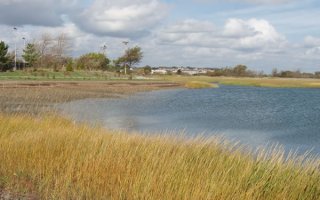 View of Belle Isle Salt Marsh
