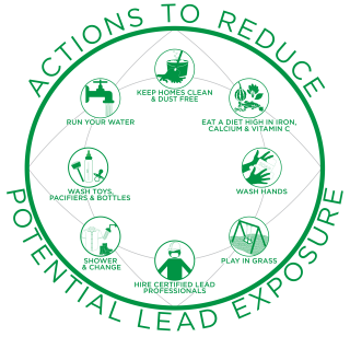 Actions to Reduce Potential Lead Exposure Infographic